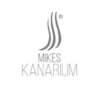 BARISTA/ WAITER